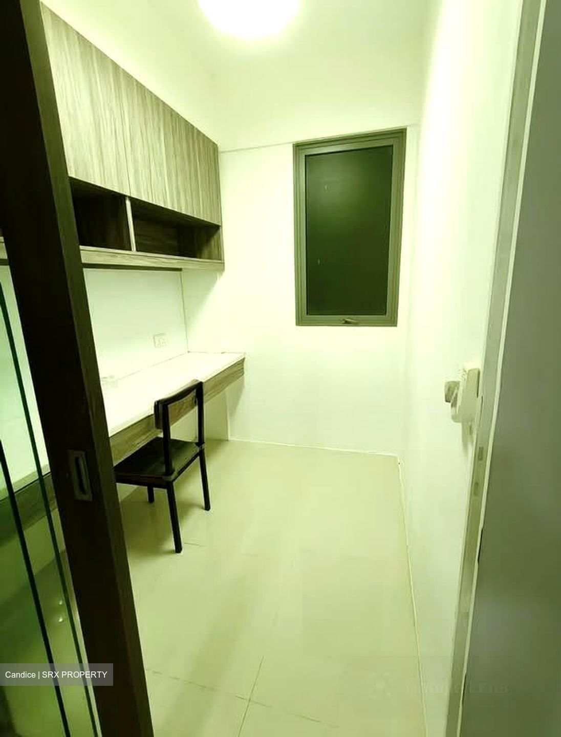 The Visionaire (D27), Condominium #576911131